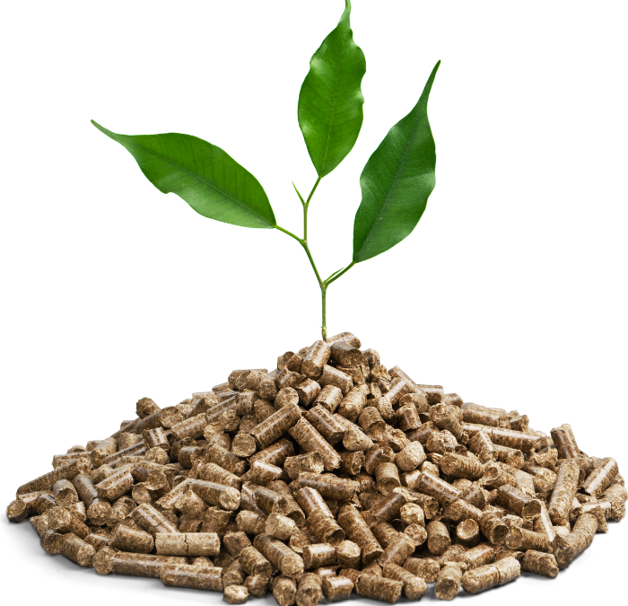 Caldaia a pellet